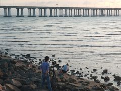 -宝安西湾红树林湿地公园