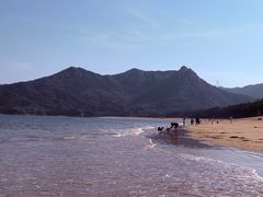 -大京沙滩