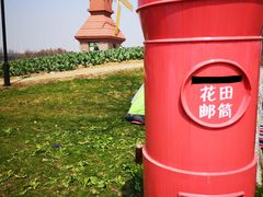 -杭州湾海上花田景区