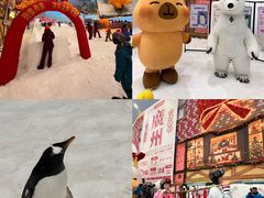 -广州热雪奇迹