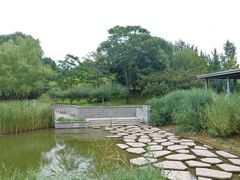 -大望京公园