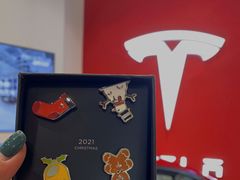-TESLA 特斯拉(北京颐堤港体验店)