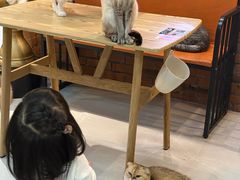 -豆逗聊愈猫阁Easy Life