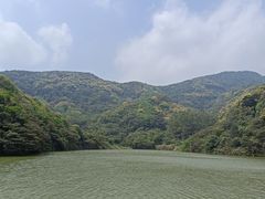 -黄埔油麻山森林公园