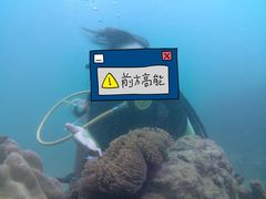 -班拉雅潜水度假村