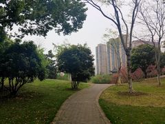 -堤角公园