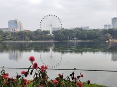 -南宁南湖公园