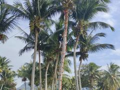 -石梅湾艾美度假酒店