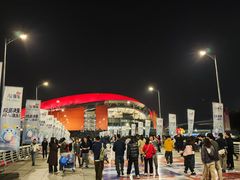 -南京奥林匹克体育中心-体育馆