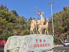 -长沙黑麋峰国家森林公园