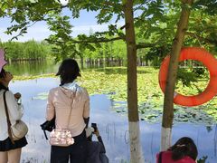 -白鹭湾湿地公园