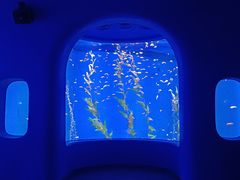 -欢乐海岸海洋奇梦馆