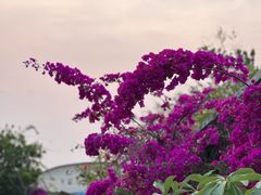 -汉艺唐风茶艺培训(联发华美空间店)