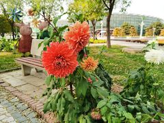 -石家庄市植物园