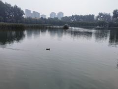 -中国农业博物馆