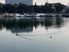 -徐州汉画像石艺术馆