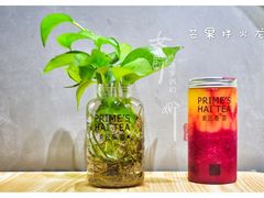 芒果拌火龙果-素匠泰茶(三里屯SOHO工体奶茶店)