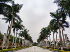 -五通灯塔公园