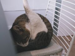 -UNI UNI(环亚凯瑟琳店)