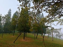 -广州市白云山风景名胜区