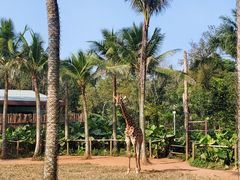 -海南热带野生动植物园
