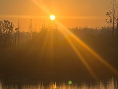 -合肥滨湖国家森林公园