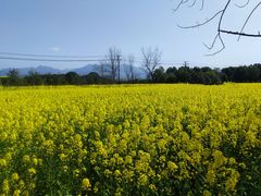 -东梓关景区村庄
