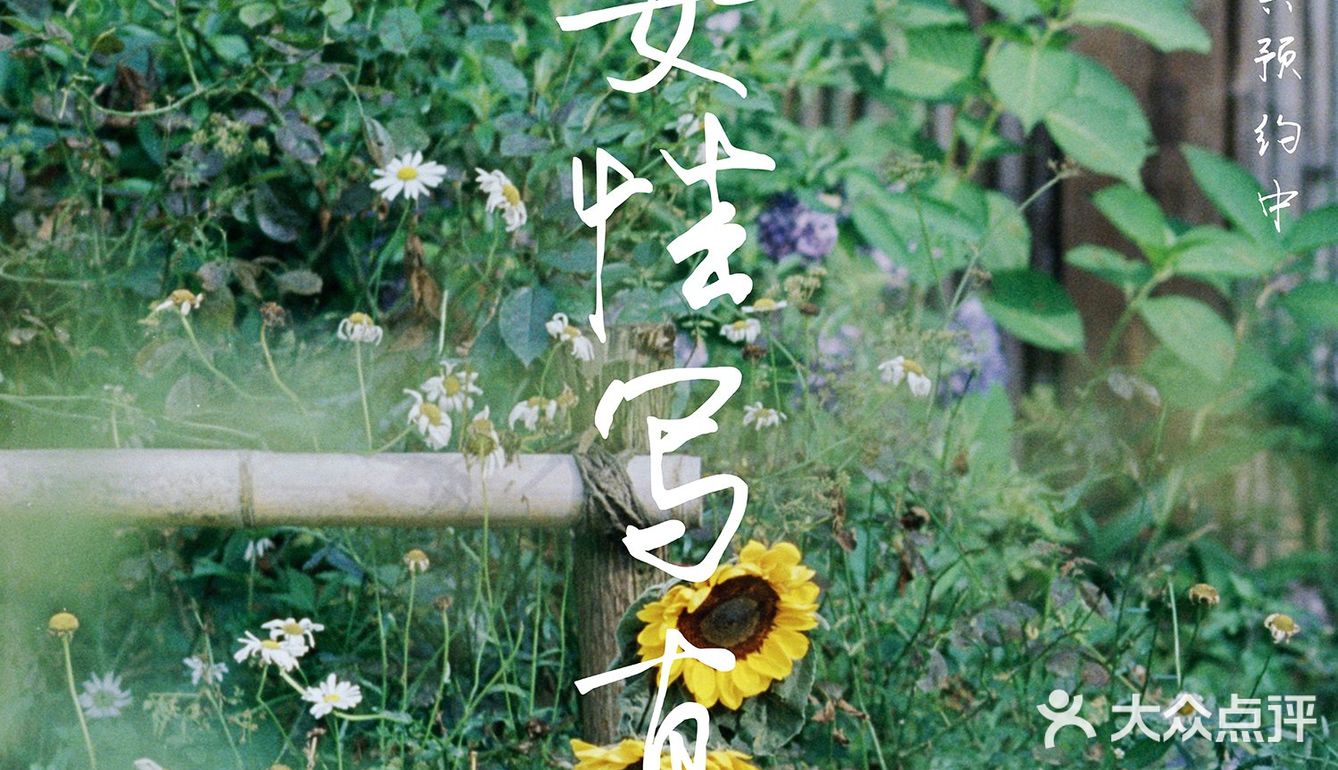 胶片的话语