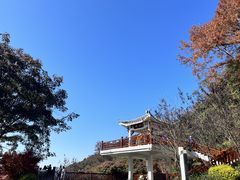 -广州市石门国家森林公园