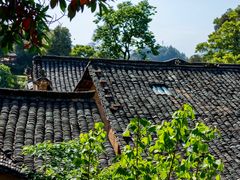 -杨家堂村