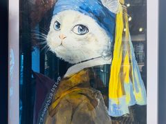 -喵屿·大理花园猫咖