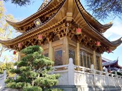 -上海东林寺(金山区)