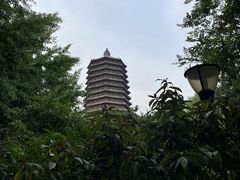 -玲珑塔公园