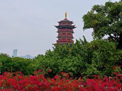 -厦门园林博览苑