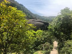 -大罗山风景区