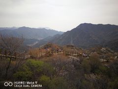 -大岭沟猕猴桃谷风景区