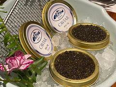 -Mr·Fish鱼鲜生海鲜放题(银泰in99店)