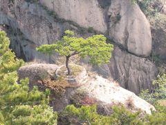 -六里坪国家森林公园