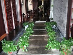 -梧桐餐厅(泉城路店)