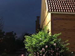 -大塘金香草谷
