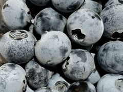 -上海龙吴水胜海发市场