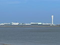 -上海滨江森林公园