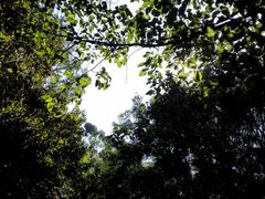 -火炉山森林公园