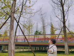 -府河摄影公园