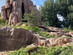 -北京野生动物园