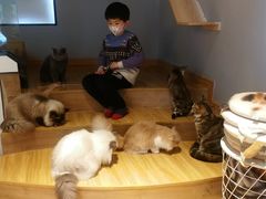 -啵啵喵·猫咖(攀华国际店)