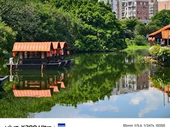 -侨美·唐荔园·40年地道粤菜