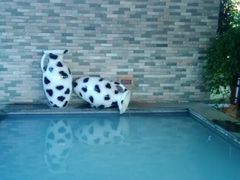 -福州贵安·温泉世界