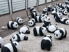 -星光大道