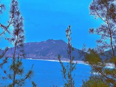-广东惠东海龟国家级自然保护区